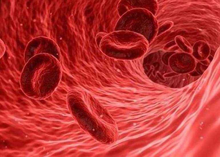 क्या है अप्लास्टिक एनीमिया? कारण, लक्षण और उपचार | Aplastic Anemia in Hindi