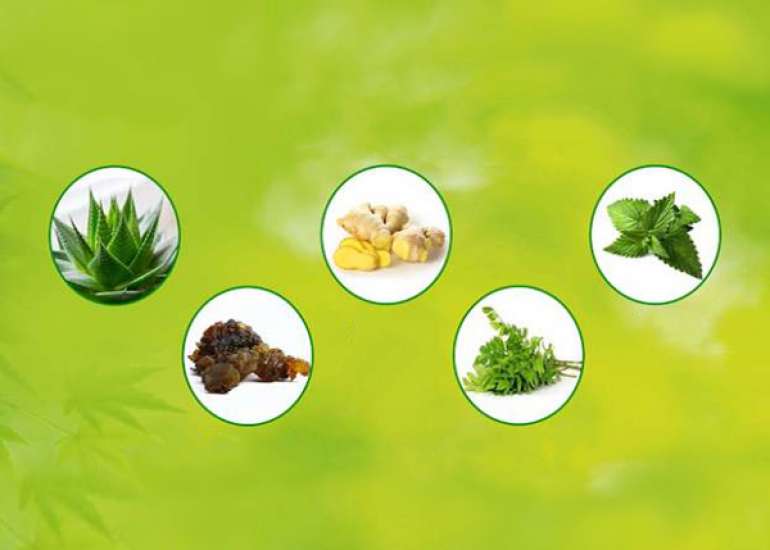 5 ways to  increase Metabolism Rate Naturally 