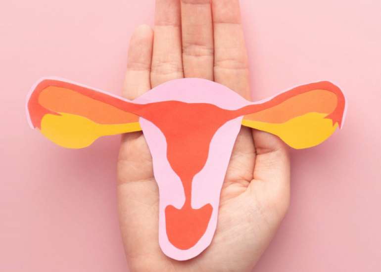 A simplistic approach to fibroids is outdated