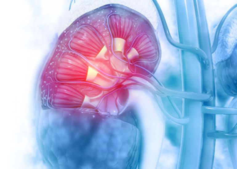Accidental Adrenaline Injection in a Non-anaphylactic Child Causes Acute Kidney Injury 