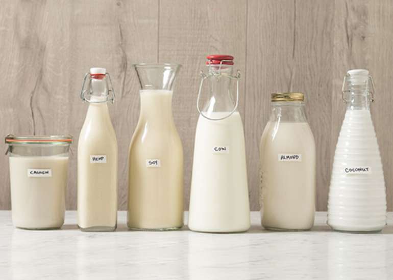 Is Almond, Soy, Cashew, Goat Milk is healthy?