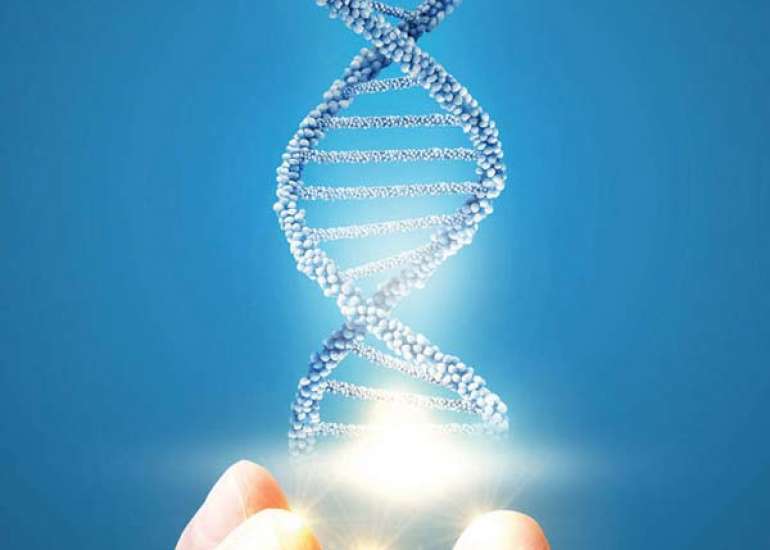 Clinical utility of a new diagnostic genetic testing for prenatal screening in the Indian population