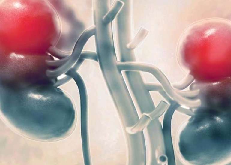 निर्जलीकरण क्या है? कारण, लक्षण और इलाज