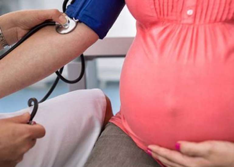 Highly Atherogenic Lipid Particles After Fertility Treatment Denote Preeclampsia in Obese Women