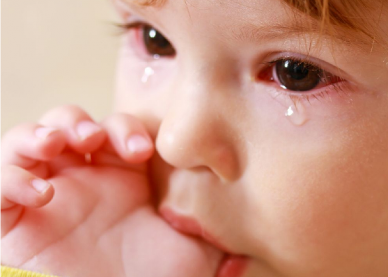 Association between Kawasaki Disease and 13-valent Pneumococcal Conjugate & Rotavirus Vaccines