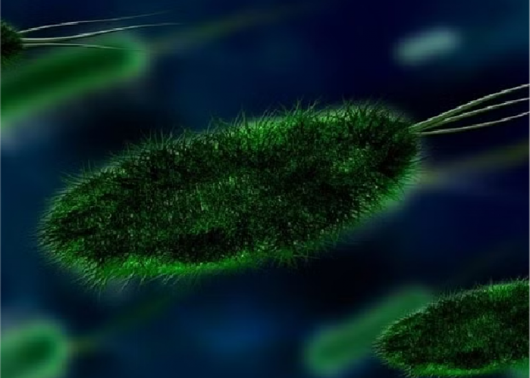 लेप्टोस्पायरोसिस क्या है? कारण, लक्षण और इलाज | Leptospirosis in Hindi