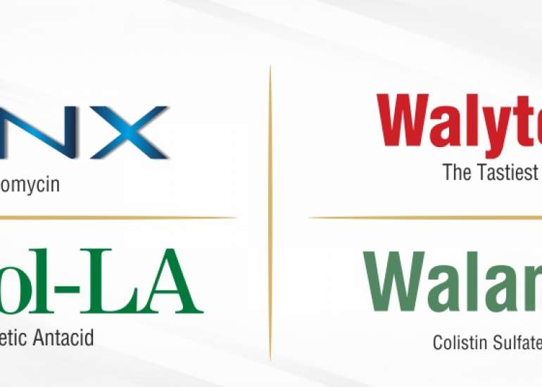 How to Conduct a Telemedicine Consultation