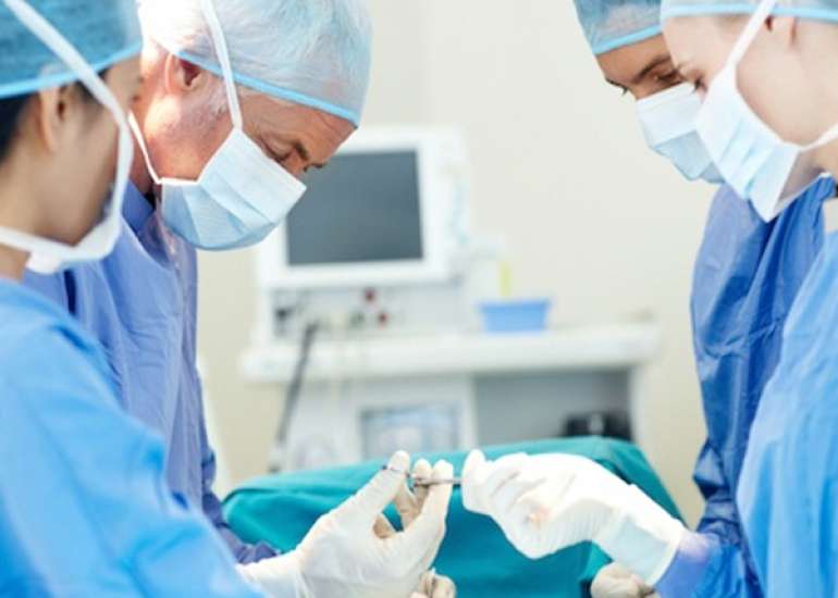 Bites: Preventing Infections and Treating Injuries?