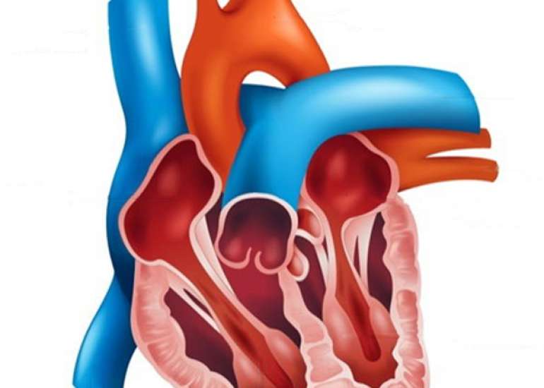 Can you cure congenital heart disease?