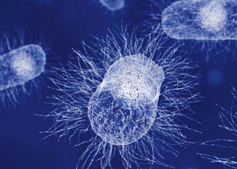 Can the general public help in preventing the spread of AMR?