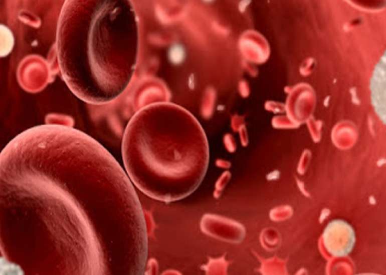Childhood Immunity and Infections: Time to Consider Endothelial Cells and Platelets