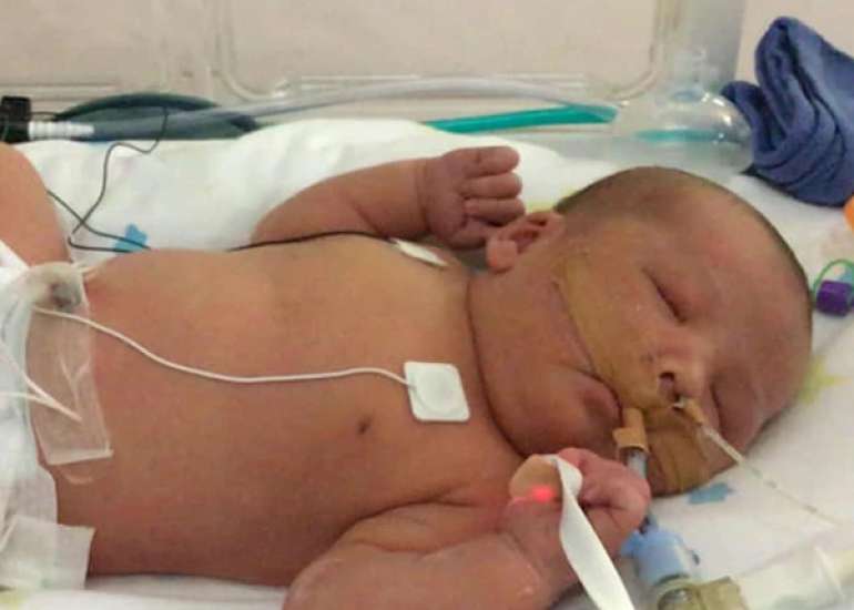 Clinical attributes of children and guardians possessing CBP-positive Streptococcus mutans strains