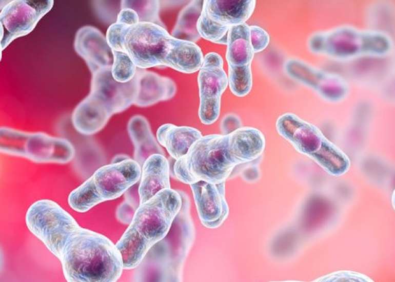 Clostridioides difficile infection in hospitalized children and adolescents