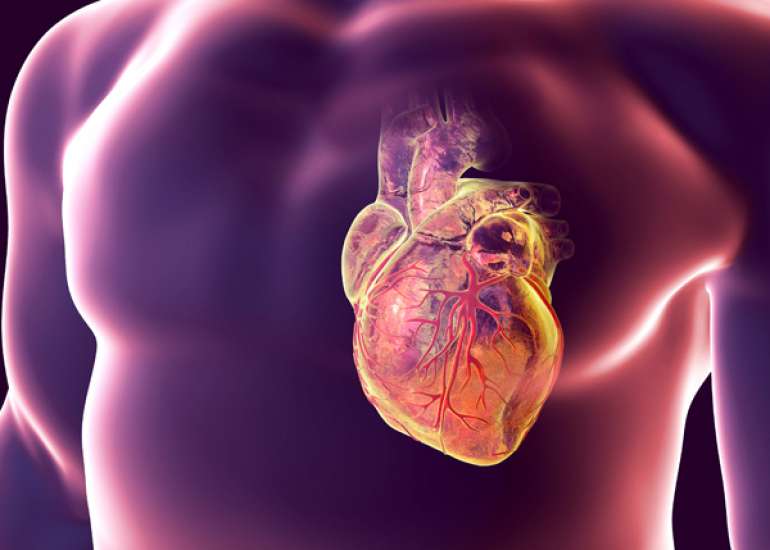 Common origin of all three coronary arteries?