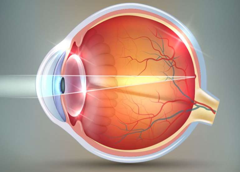 Common Eye Conditions and Diseases