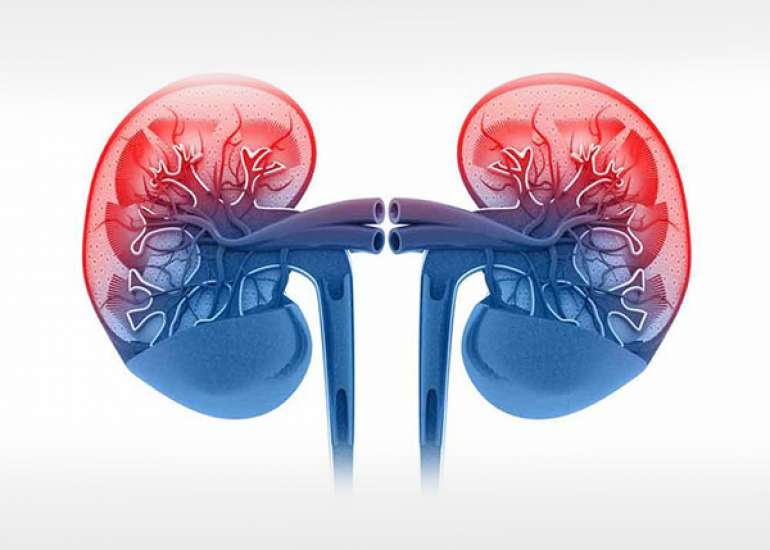 Community-Acquired Acute Kidney Injury in Pediatric Inpatients: A Call to Action