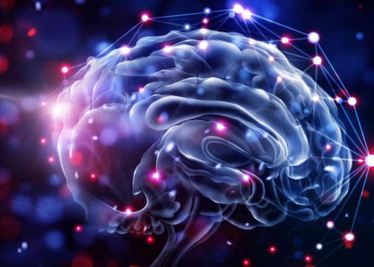 Concurrent and predictive validity of the infant motor profile in infants at risk of neurodevelopmental disorders