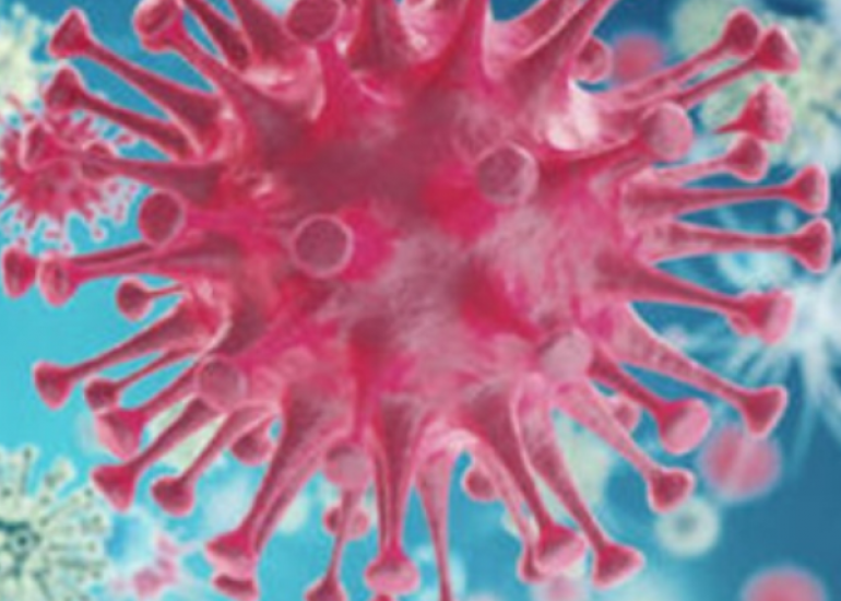 कोरोना वायरस के भारत में 28 केस 