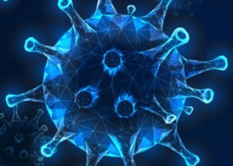 भारत सरकार द्वारा कोरोना वायरस पर नवीनतम समाचार