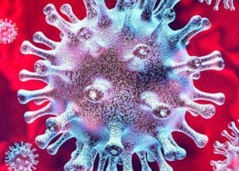 कैसे पता लगाया जाए कि कोरोना पॉजीटीव है या नहीं ? 