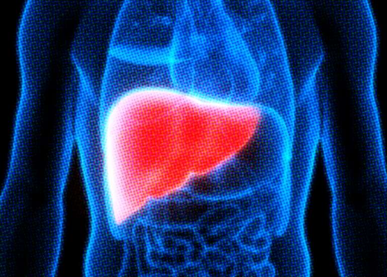 Prevention of Hepatitis B and Role of Counselling