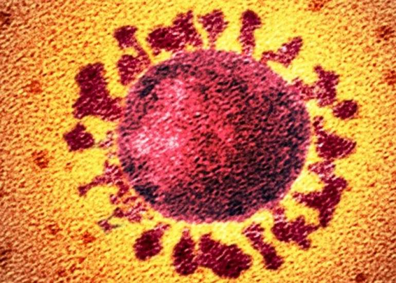 Covid Under Heading-Covid-19 and Vaccines