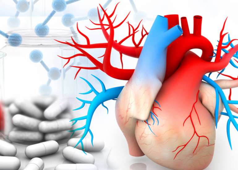 Cardiovascular Disease and Diabetes