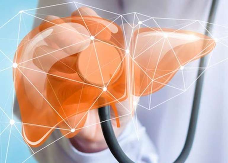 Dietetics for Patients with Liver Disease and Diabetes