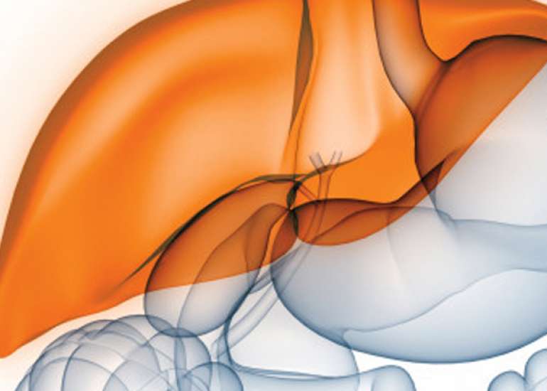Disease Progression in Hepatitis