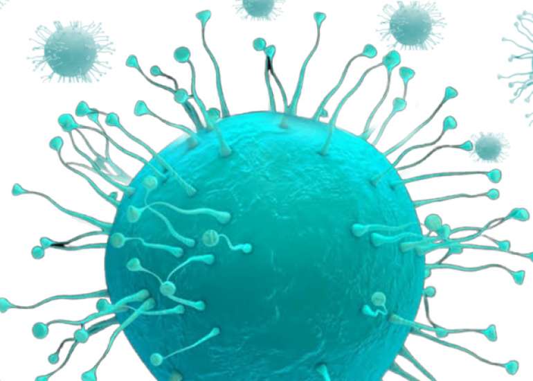 Everything You need to know about Outbreak of Novel Corona virus Infection  in china 