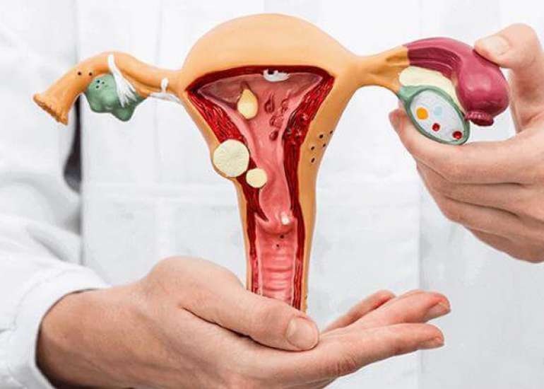 Effectiveness of pap smear via colposcopy and screening potential in premalignant lesions of the cervix