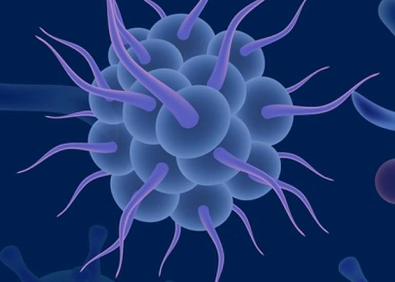 Emerging and re-emerging infectious diseases