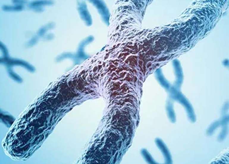 Extended first-trimester screening (EFTS) for detecting aneuploidy and predicting preeclampsia