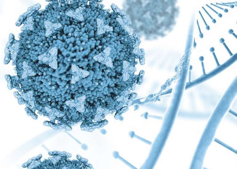 Covaxin Bharat Biotech Vaccine Update 