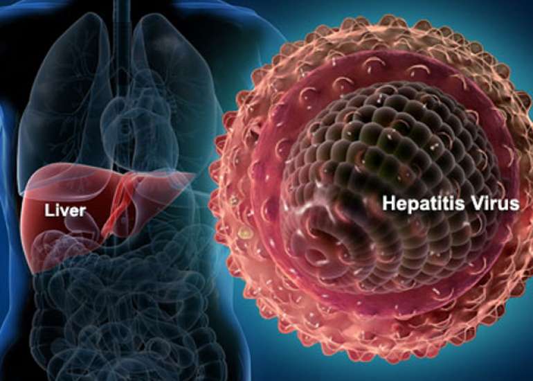 Viral Hepatitis - The Indian Scenario