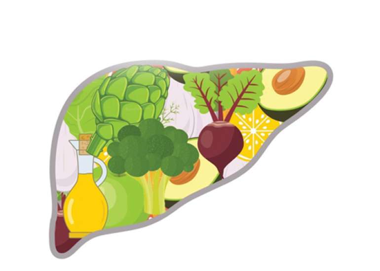 Managing a Healthy and Functional Liver