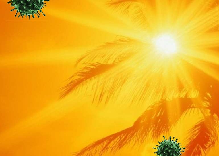 बढ़ती गर्मी है कोरोना वायरस का इलाज ?