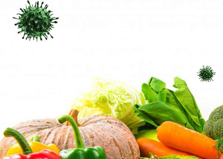 कोरोना वायरस सब्जी और फलों के द्वारा फैल सकता है ?