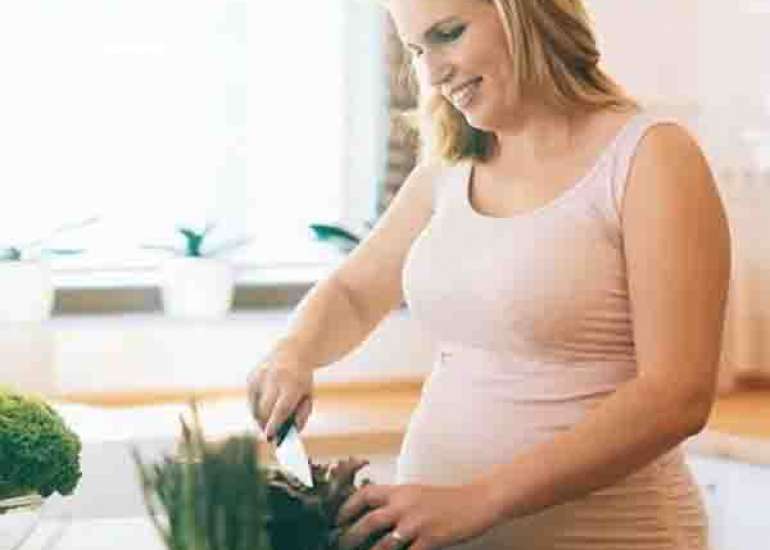 FIGO Nutrition Checklist counselling in pregnancy for healthcare professionals