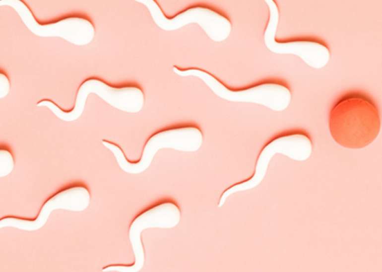 Fertility, pregnancy and neonatal outcomes of patients with adenomyosis: a systematic review and meta-analysis