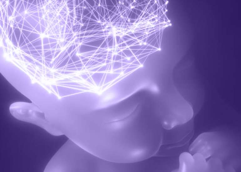 Fetal Brain Magnetic Resonance Imaging Findings Predict Neurodevelopment in Children with Tuberous Sclerosis Complex