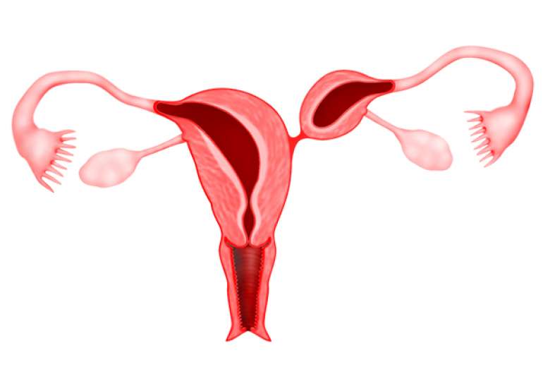 Frequency and types of congenital uterine anomalies during C-section