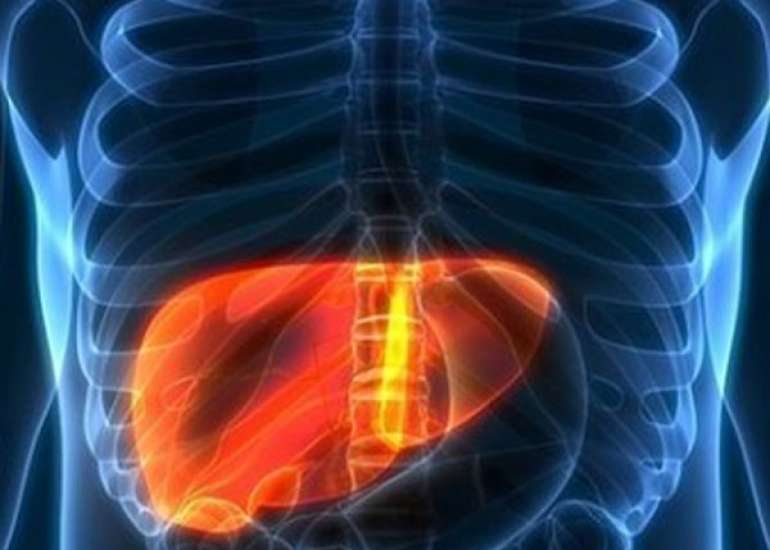 Hepatitis - Prevalence and Endemicity in India