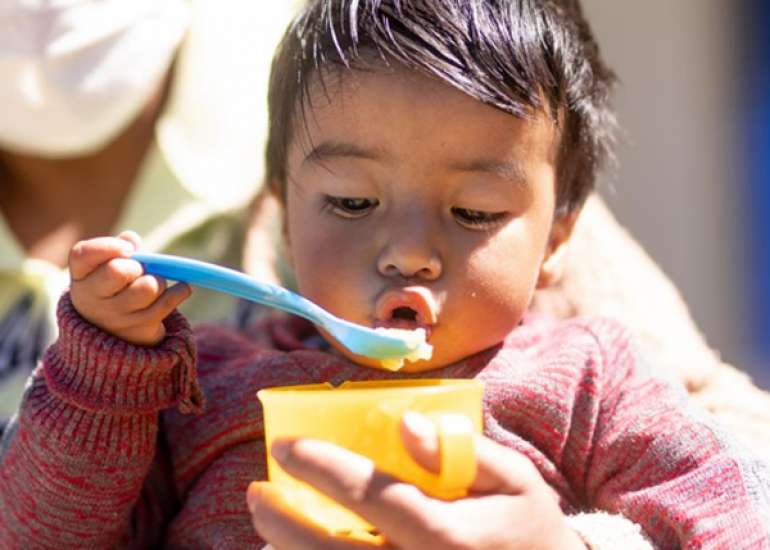 Home-based nutritional intervention program improves the nutritional status of preschool children.