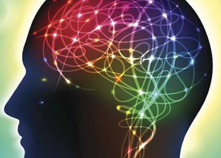 How do we check for cognitive functions?