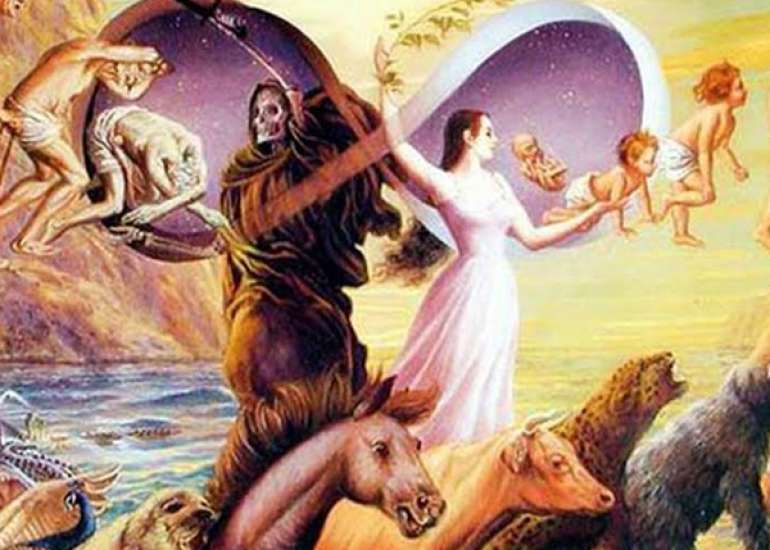 How eighty four lakh yonis of Hinduism does is related to a human body?