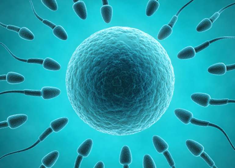 How long can we store sperm?