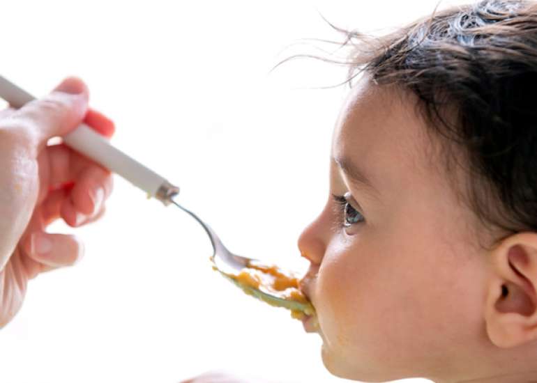 How Eating Speed, Diet Quality, Adiposity, and Cardiometabolic Risk Factors are associated?