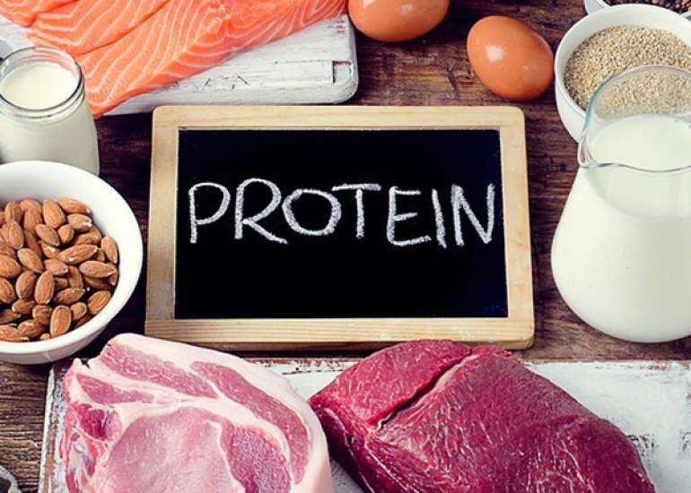 How much protein should I eat every day?