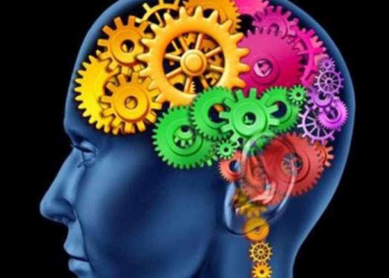 How to test cognitive function?